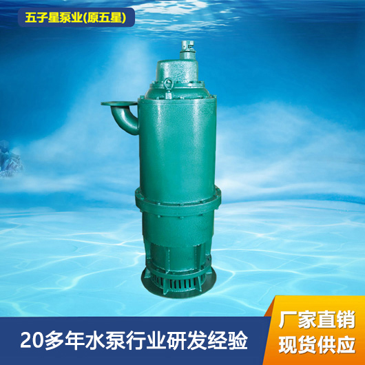 防爆泵BQS200-22-30/N 高流量 厂家直销价格低