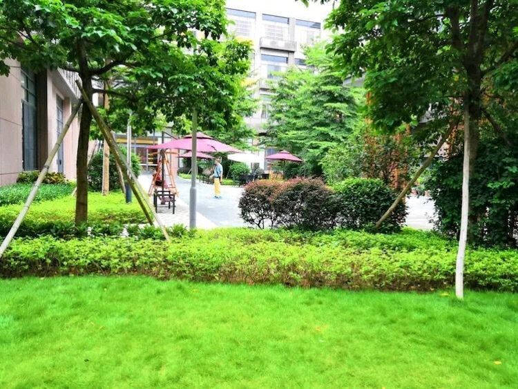 广东广州五星级养老院介绍 老年公寓