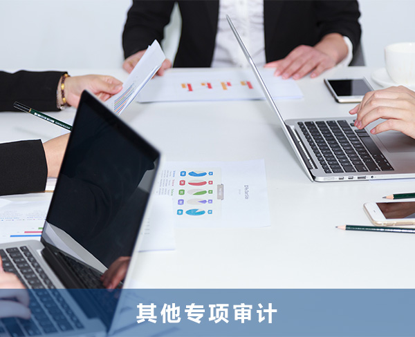 天津无形资产评估审计报告审计事务所