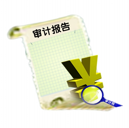 上海双软专项审计报告