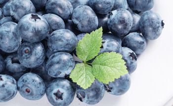 进口车厘子报关流程