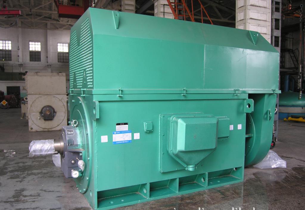西安西玛Y系列高压电机Y4508-10 315KW 6KV-10KV