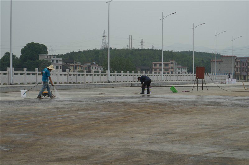 广东桥梁混凝土保护剂生产商