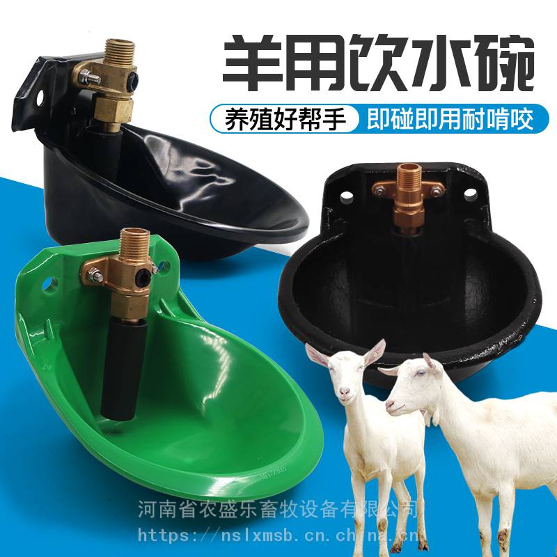 羊用饮水碗铸铁工程塑料即碰即出水省时省力结实耐用厂家直销