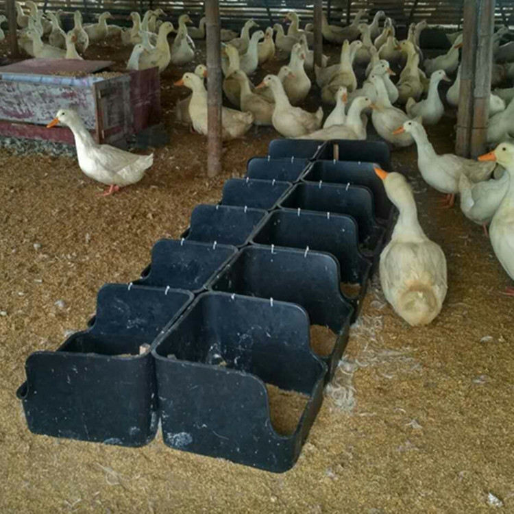 塑料鸭蛋窝 黑色鸭产蛋窝 鸭用蛋窝生产厂家