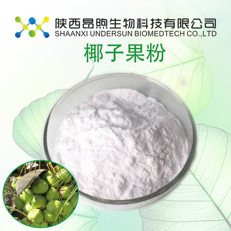 厂家直销速溶椰子粉99%陕西昂煦椰子提取物固体饮料标准SC备案工厂椰子果粉