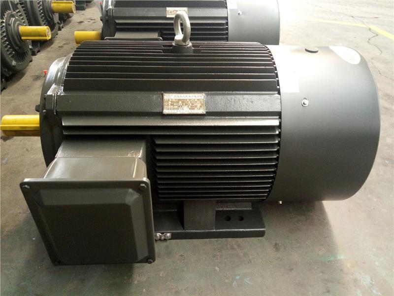 YVFE3-4002-6WT1-315KW-380V-IP55-H级绝缘变频电机