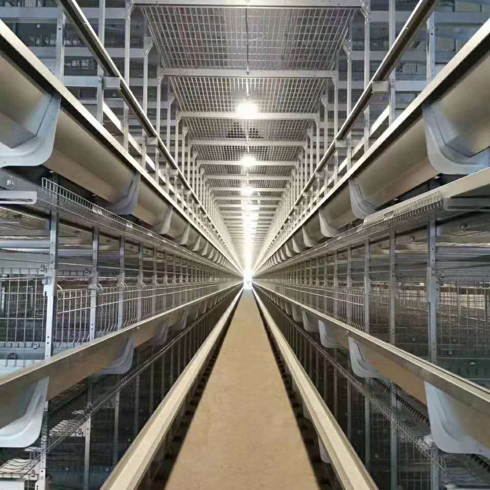 长沙蛋鸡笼厂家 自动化蛋鸡养殖笼 养鸡设备