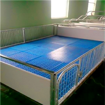 畜牧养殖设备厂家-母猪产床-限位栏-仔猪保育床