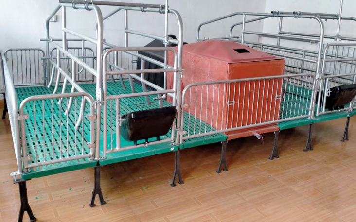 隆中机械专业生产母猪分娩床