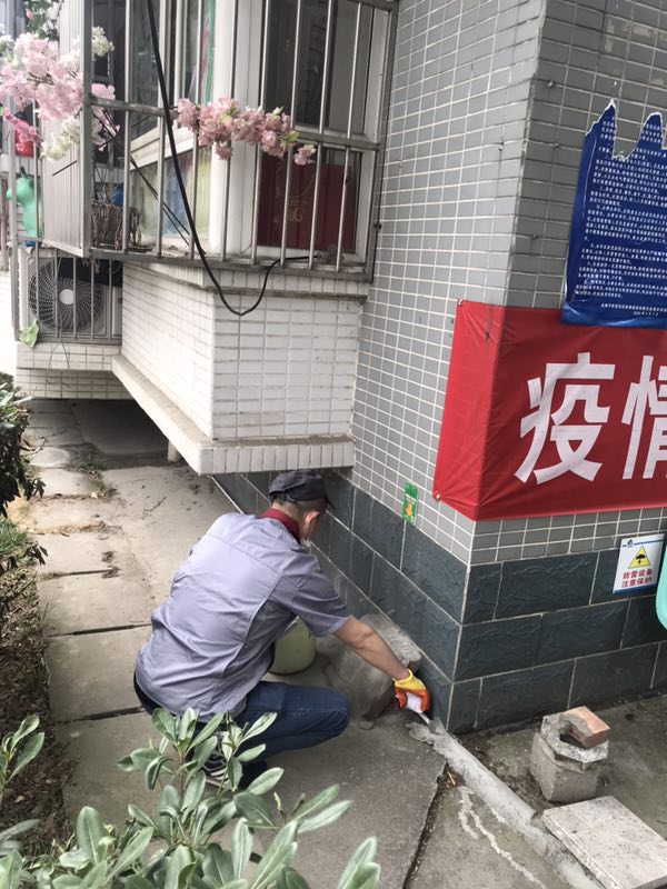 温江社区除跳蚤方法