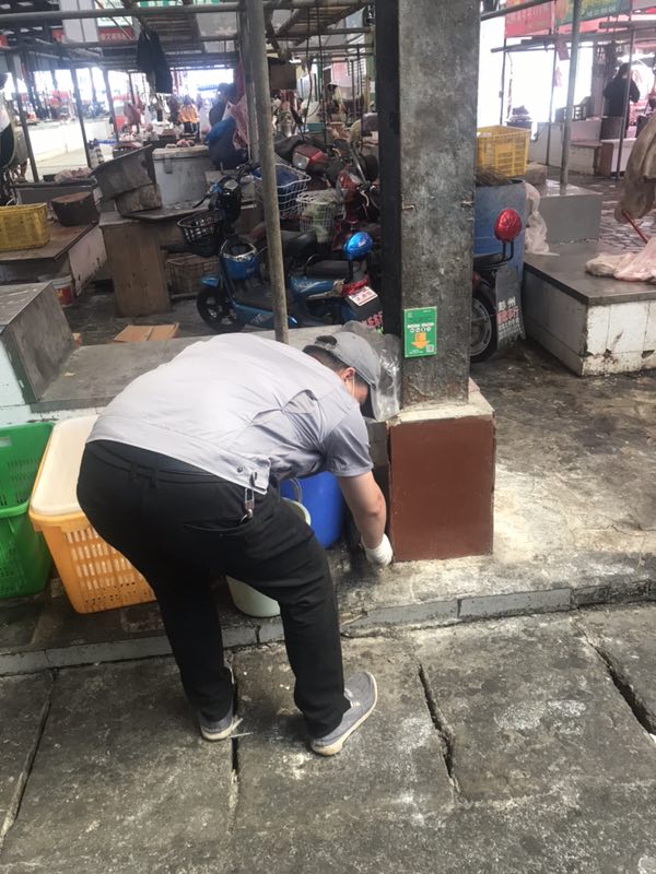 遂宁除跳蚤服务 灭跳蚤 欢迎来电