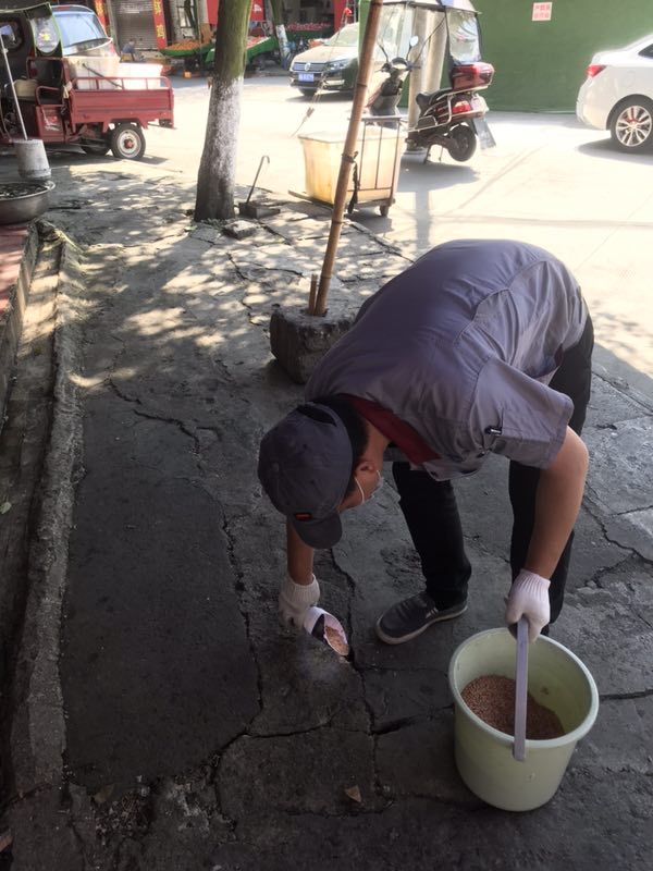 简阳饭店除跳蚤工程