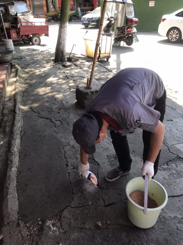 绵阳餐馆除虫方案