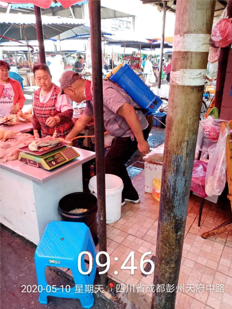 崇州家庭灭跳蚤公司