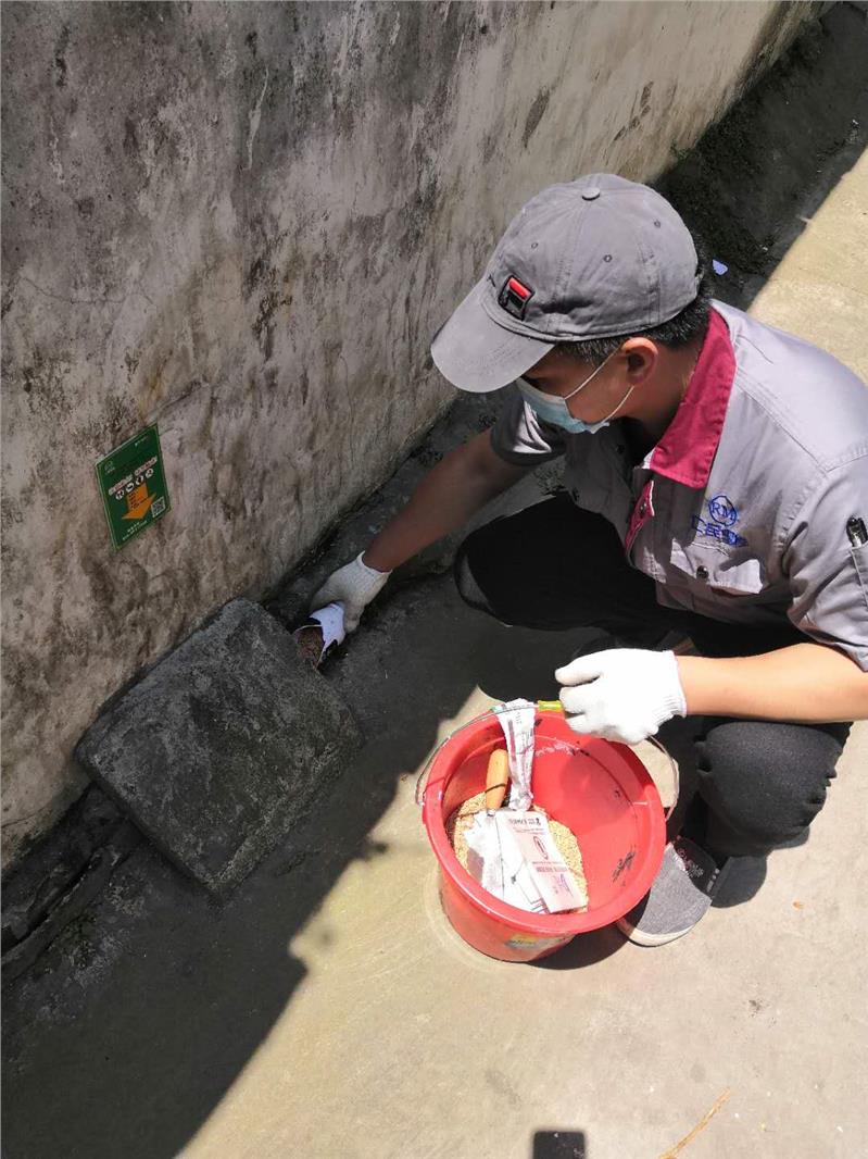 遂宁酒店除跳蚤工程