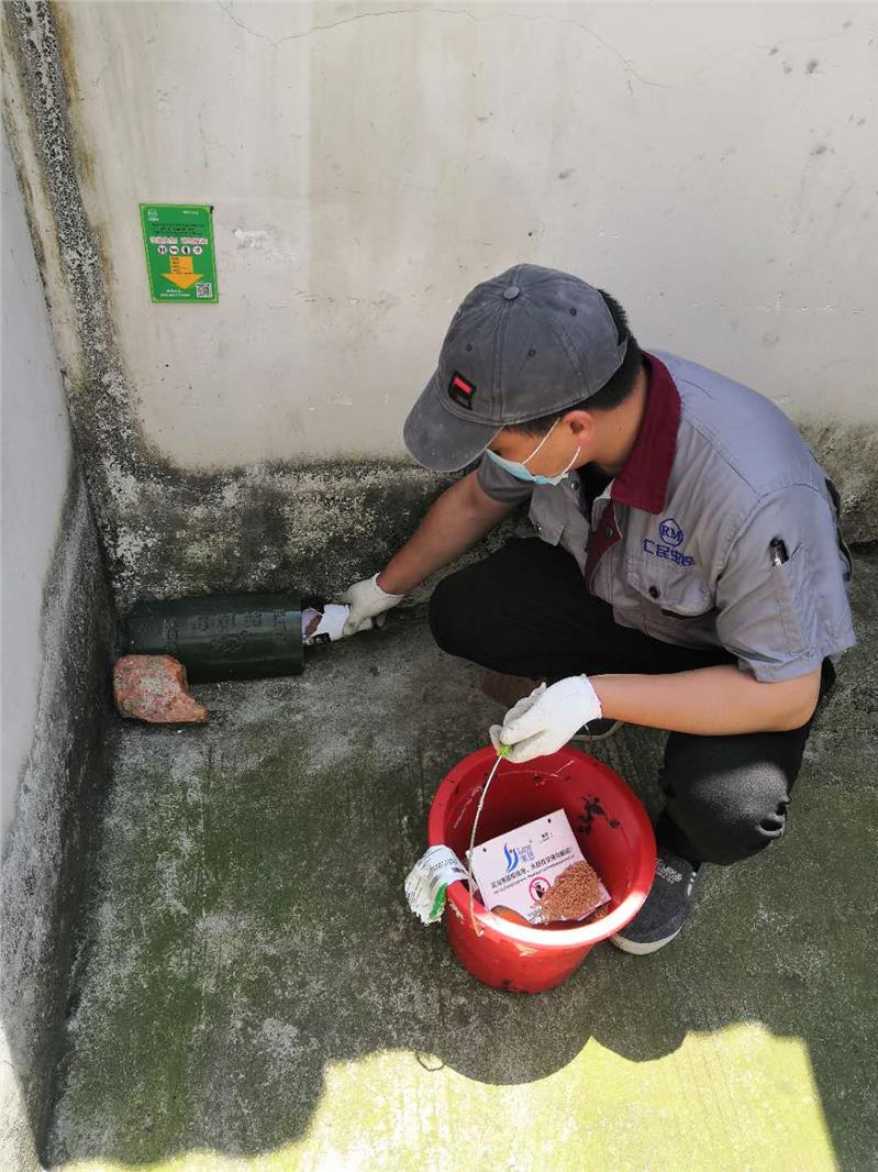 龙泉工厂除跳蚤服务