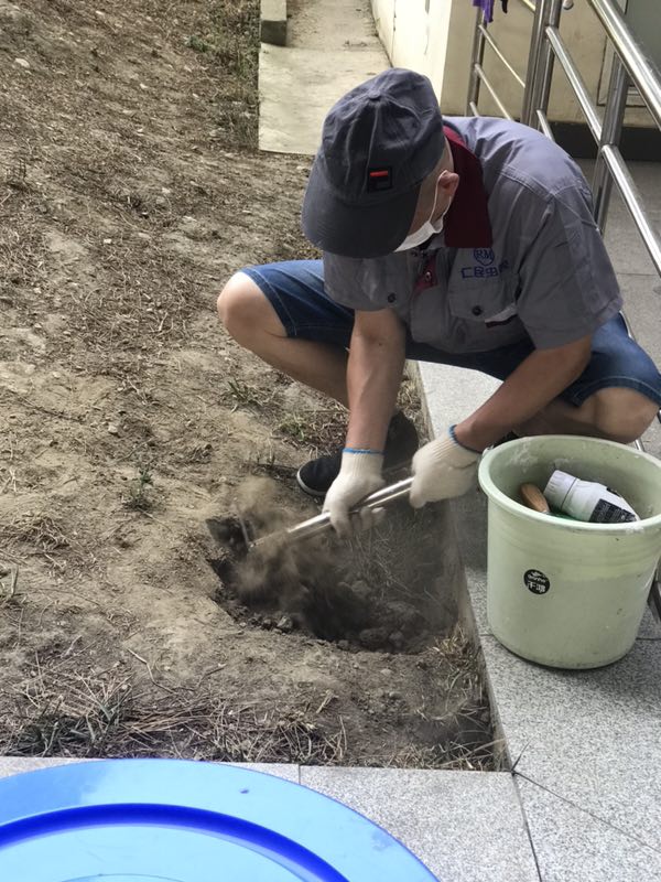 绵阳餐馆除虫方案