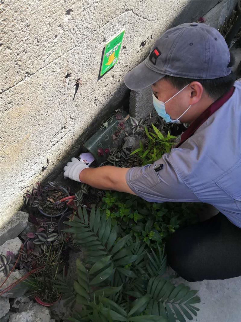 龙泉驿办公室除虫办法