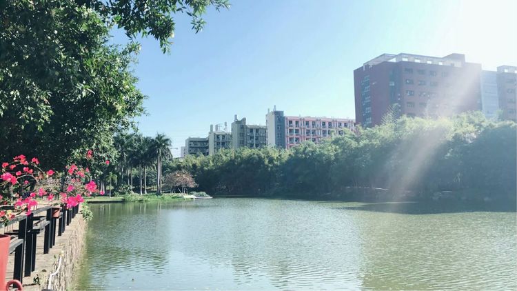 广州岭南找养老院