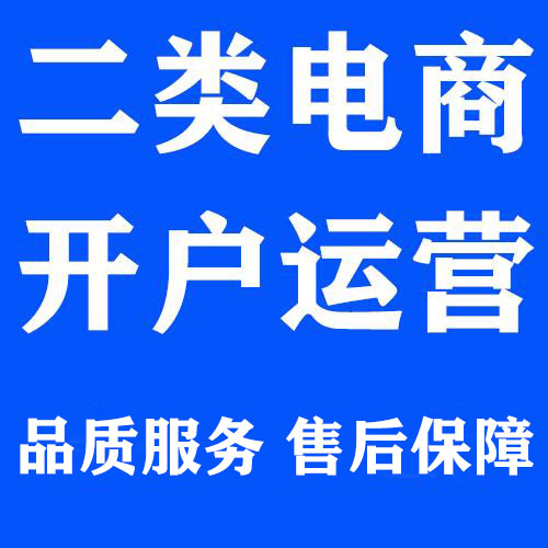 二类电商搜索优化