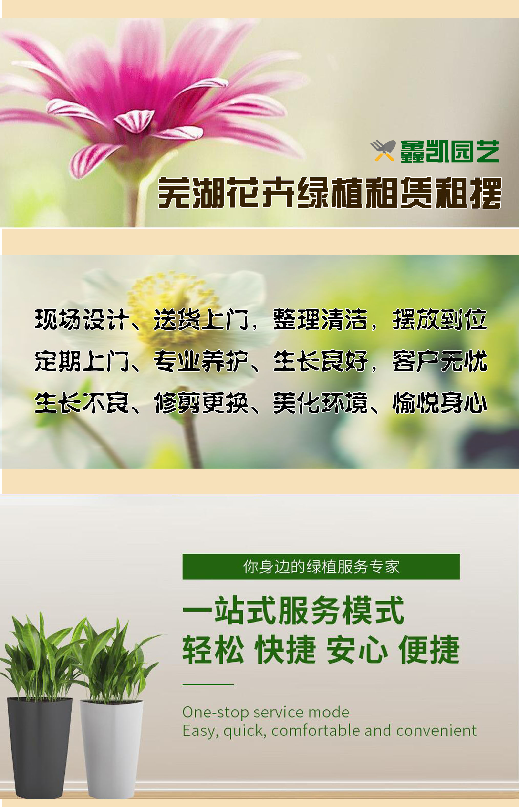 芜湖办公室写字楼绿植花卉盆栽租赁出租-上门设计洽谈