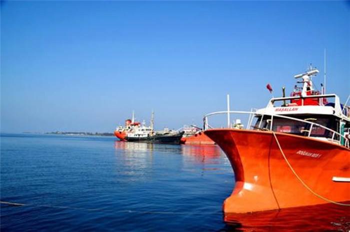 提供的深圳物流服务，特别是到柬埔寨的海运专线服务