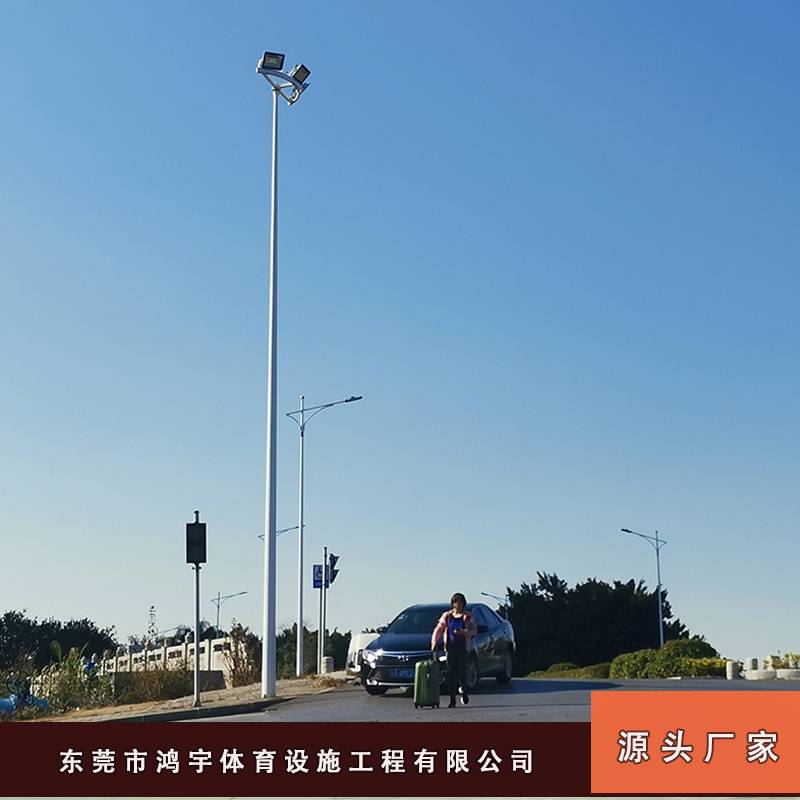 街道照明9米单臂路灯柱定购 广宁县内外热镀锌9米灯柱一根多少钱