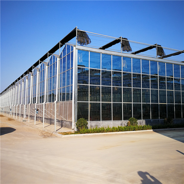 玻璃温室大棚骨架出售 连栋玻璃温室大棚建设预算