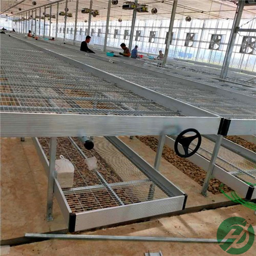 南京新型移动温室苗床