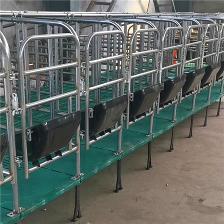 养猪设备猪用定位栏限位栏热镀锌保育床
