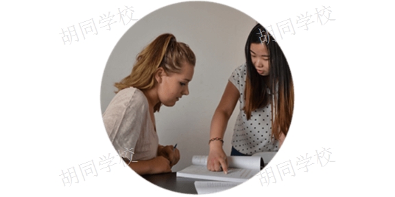 上海外国学员汉语小班课学校 有口皆碑 胡同语言进修学院供应