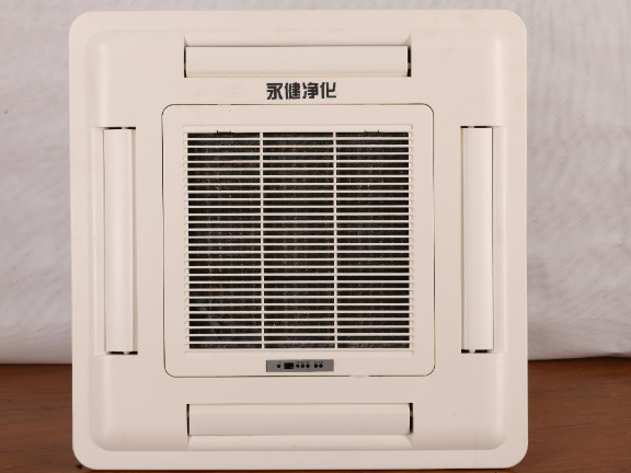 上海专业做空气净化器的品牌 上海永健仪器设备供应