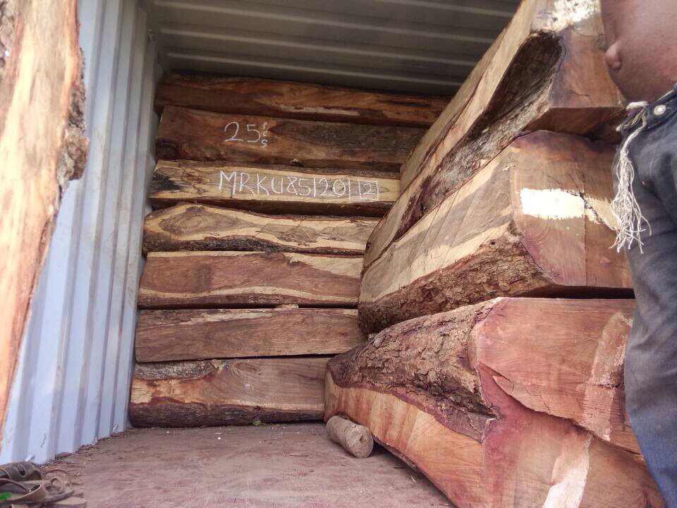 广东黄埔港木材进口报关所需文件 一般贸易木材进口报关成本低