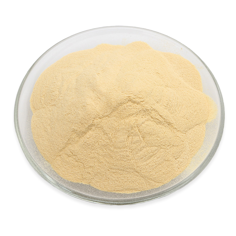 常州供应酵母浸粉Y017A规格 酵母粉 货物全