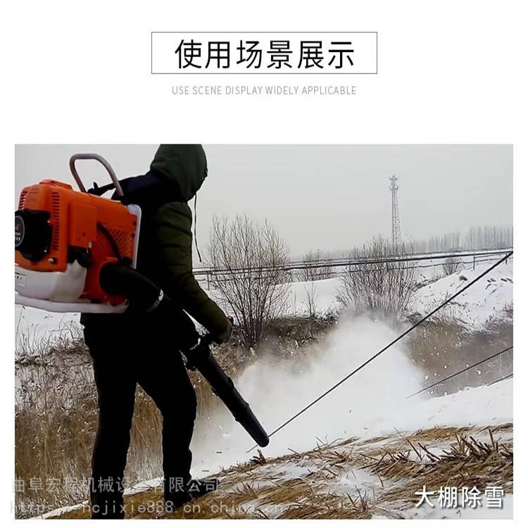北京朝阳吹雪机 小区碎石树叶吹风机 大功率风量清理机