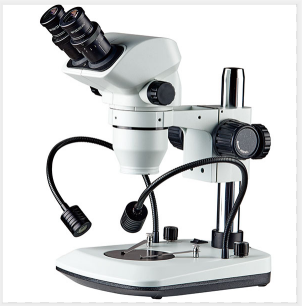 供应高级双目体视显微镜