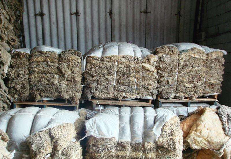 鹽濕牛羊皮進口報關資料 廣州黃埔港皮革皮草皮料進口清關單證