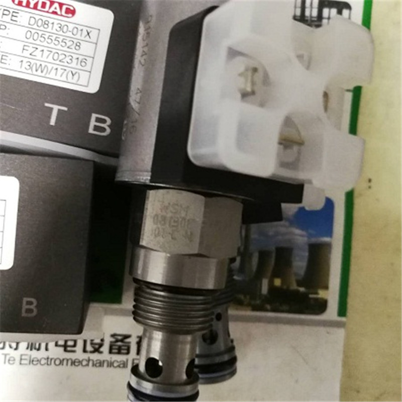 武漢賀德克10通經二通電磁閥WS10W-01M-C-N-230AG