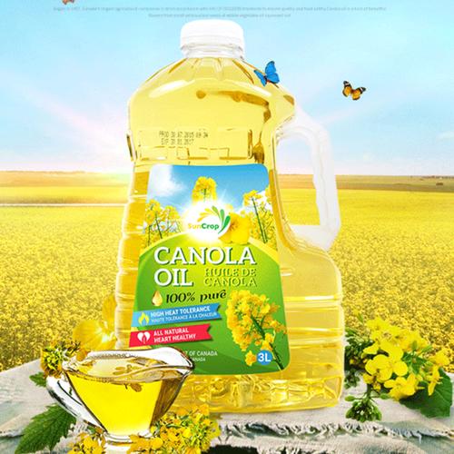 西班牙大型的菜籽油进口报关代理-葵花籽油进口报关-食用油报关公司