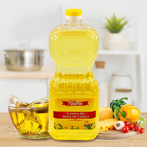 青岛大型的橄榄油进口报关公司