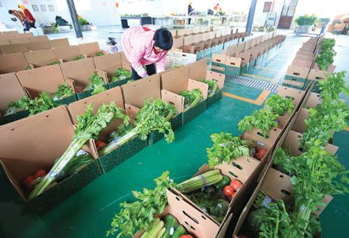 嘉兴市蔬菜粮油配送公司 提供工厂食材一站式采购配送服务