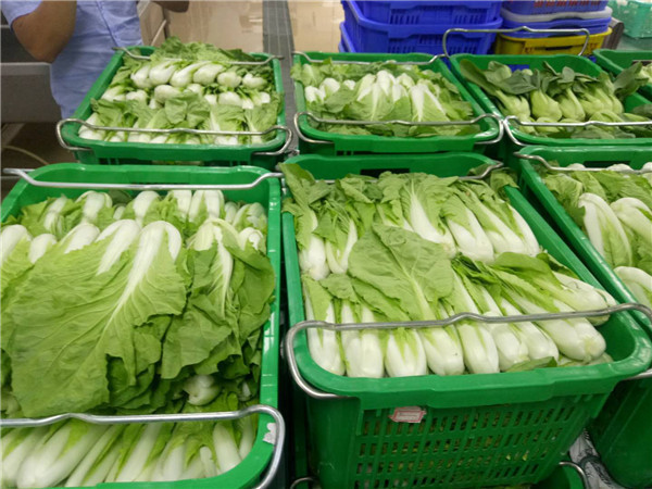 石碣蔬菜配送公司 批发蔬菜公司 _大型的蔬菜配送中心_蔬菜种植基地