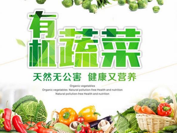 博罗蔬菜粮油配送公司 提供新鲜平价一站式蔬菜批发服务