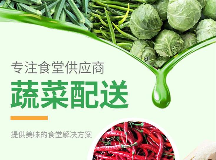 东城区蔬菜粮油配送公司 提供新鲜平价一站式蔬菜批发服务