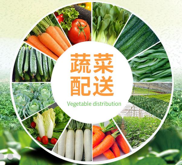 永和蔬菜粮油配送公司 提供新鲜平价一站式蔬菜批发服务