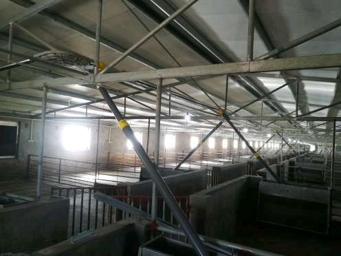 青州市猪场赛盘料线的安装及保养厂家 绞龙料线 厂家批发