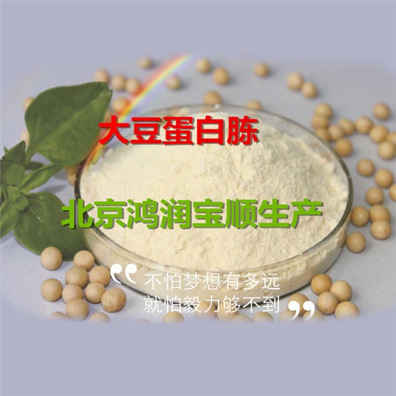 沈阳大包装大豆蛋白胨Y005C价格