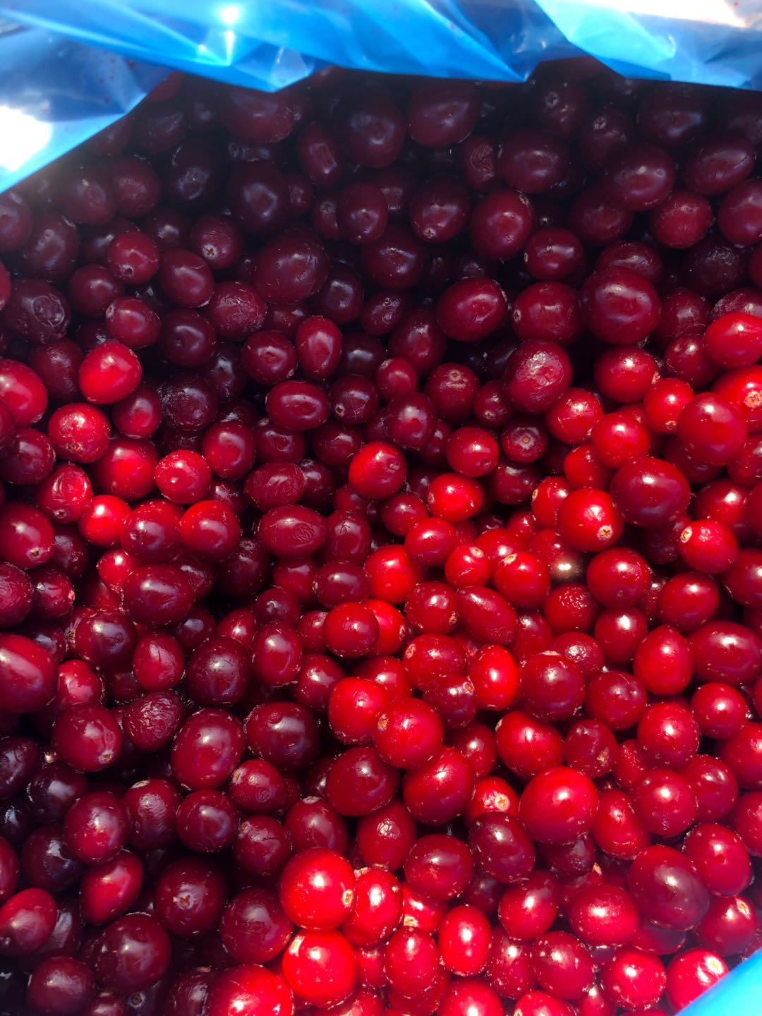 北美冷冻蔓越莓原料 进口浆果 可小包装分装