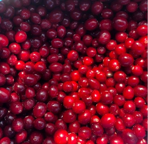 北美进口冷冻蔓越莓原料 进口蔓越莓整果 烘焙产品配料